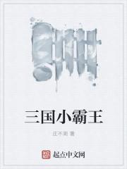 小霸王三国演义游戏