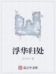 浮华褪尽
